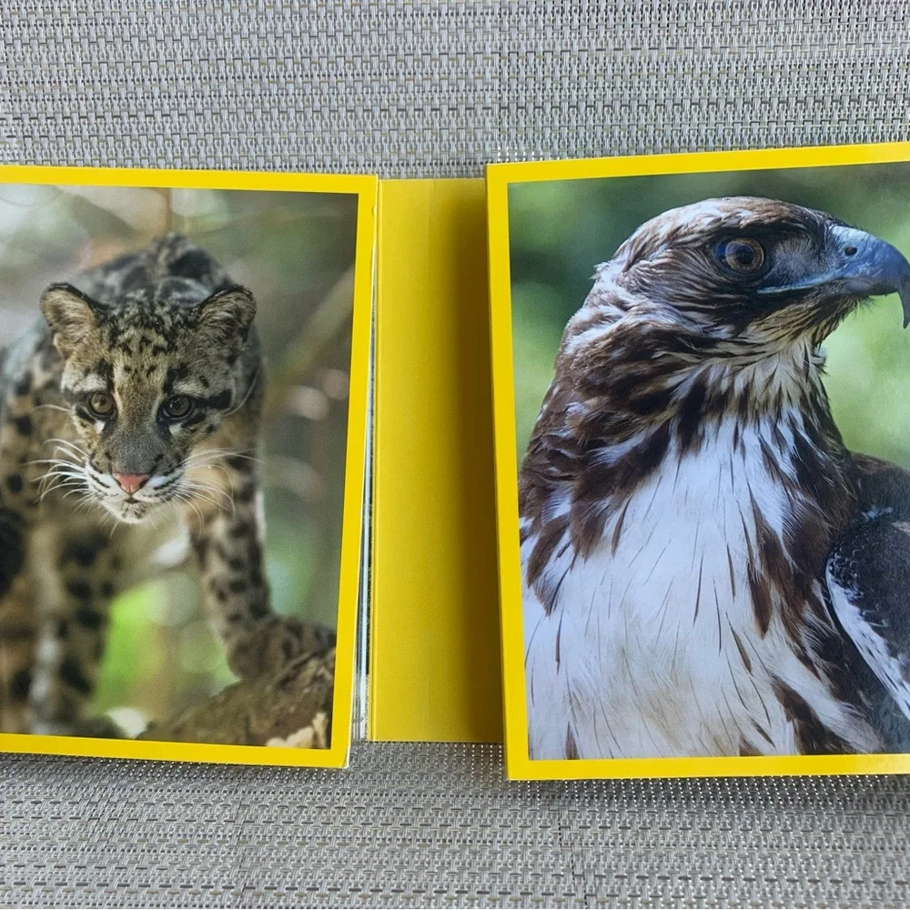 Ultimate Nature Collection National Geographic 10 Disc Set DVD Video PG
